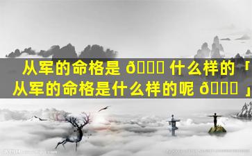 从军的命格是 🐛 什么样的「从军的命格是什么样的呢 🕊 」